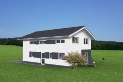 EFH158SD_3D-Einfahrt
