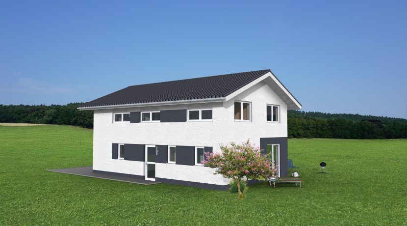 EFH158SD_3D-Einfahrt