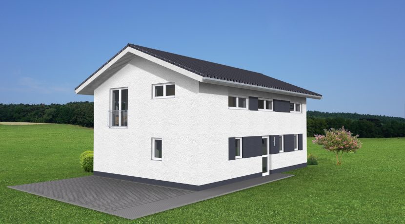 EFH158SD_3D-Eingang