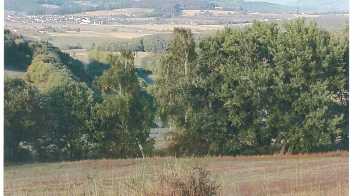 Aussicht-MilseburgWasserkuppe-scaled
