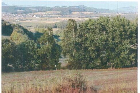 Aussicht-MilseburgWasserkuppe-scaled