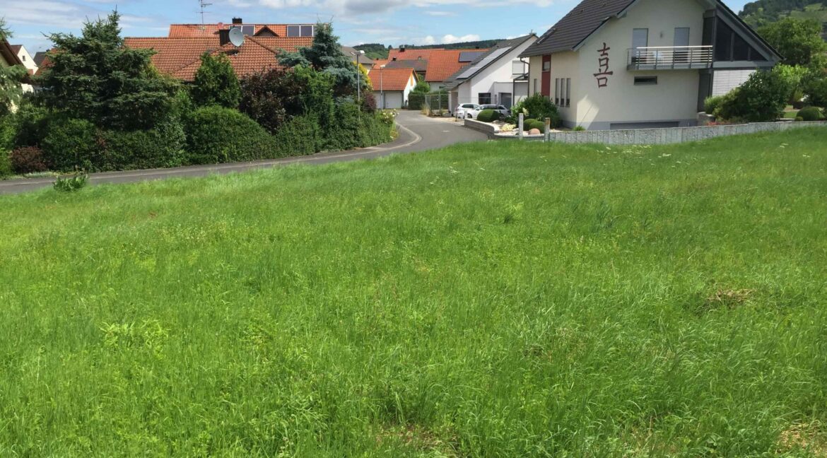 2016-07-06_Zellingen-Breitwiese-022-scaled
