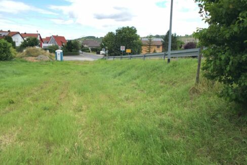 2016-07-06_Zellingen-Breitwiese-034-scaled