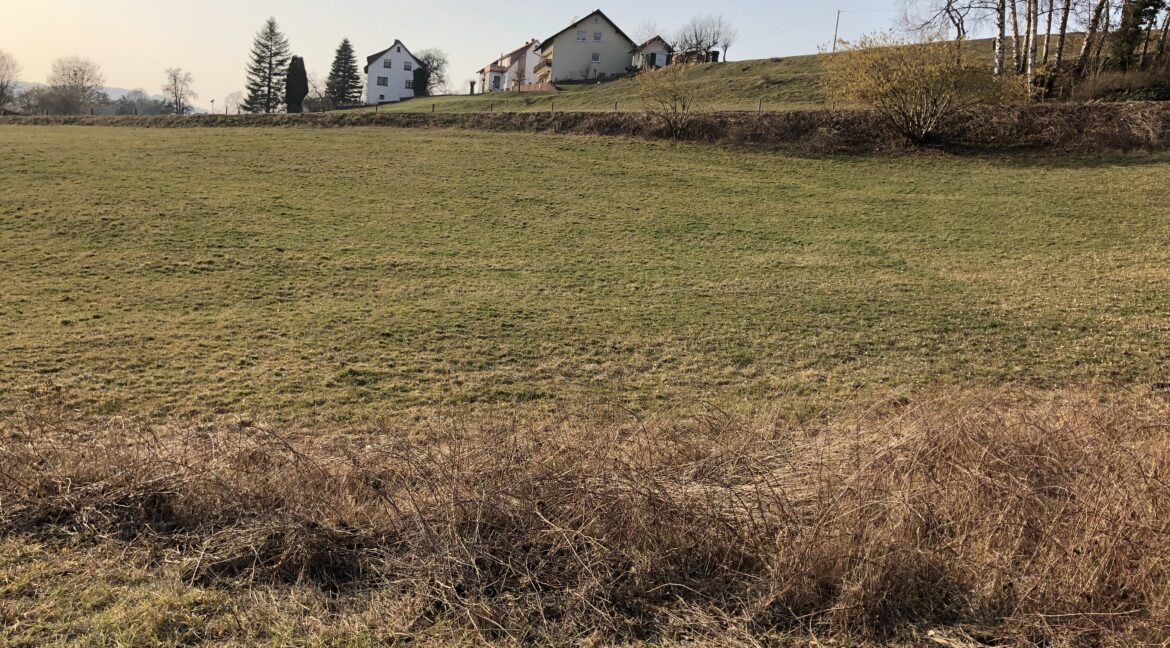 2019-02-28_Kalbach-Veitsteinbach2