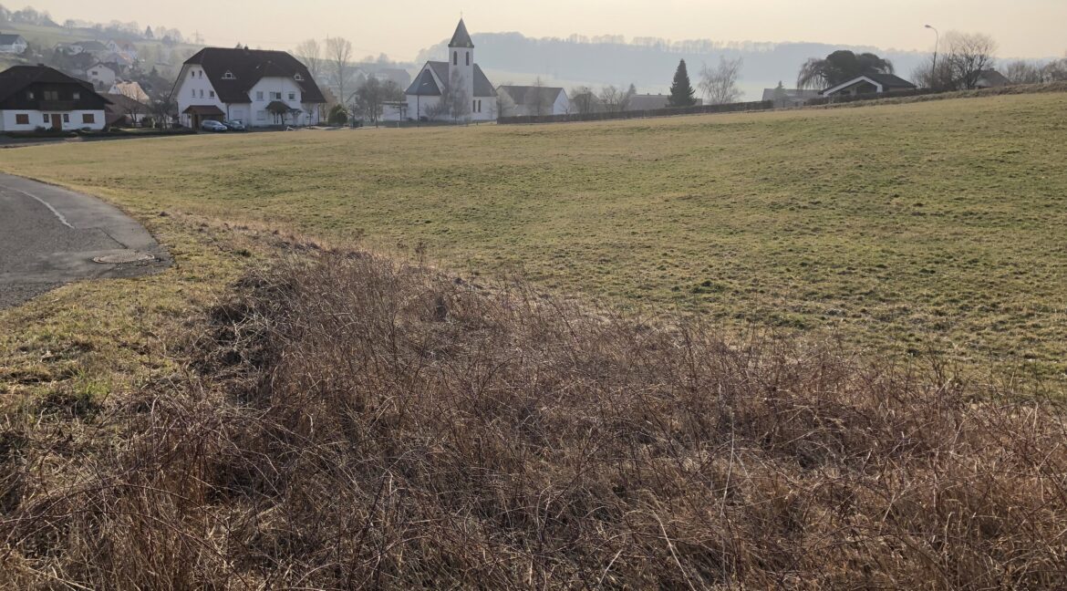 2019-02-28_Kalbach-Veitsteinbach6